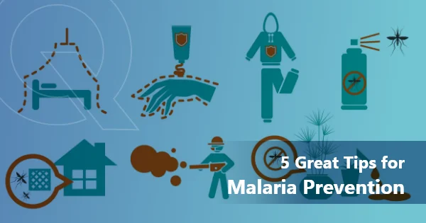 5 Great Tips for Malaria Prevention