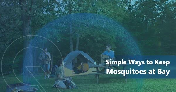 Simple Ways to Keep Mosquitoes at Bay