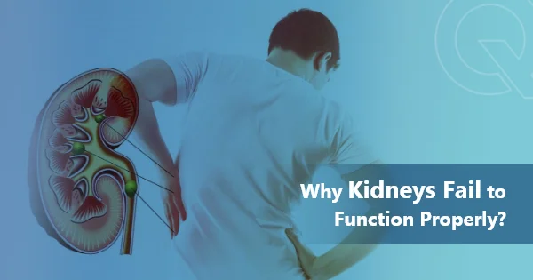 Why Kidneys Fail To Function Properly?