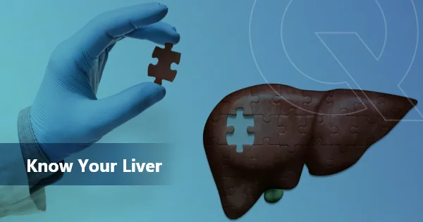 Know your Liver