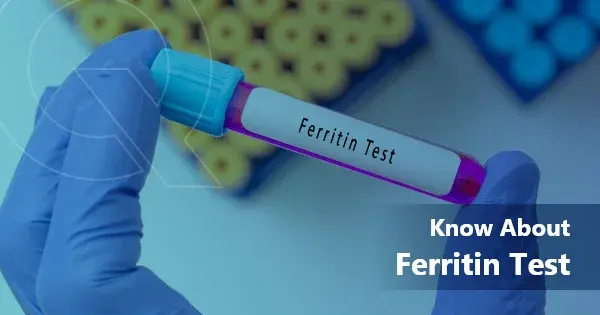 All you need to know about ​​Ferritin Test