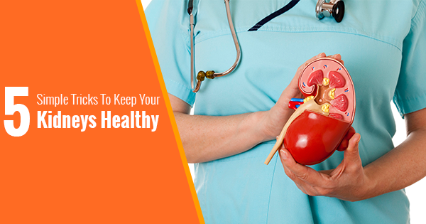 5 Simple Tricks To Keep Your Kidneys Healthy