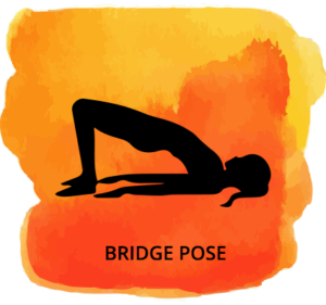 bridge-pose