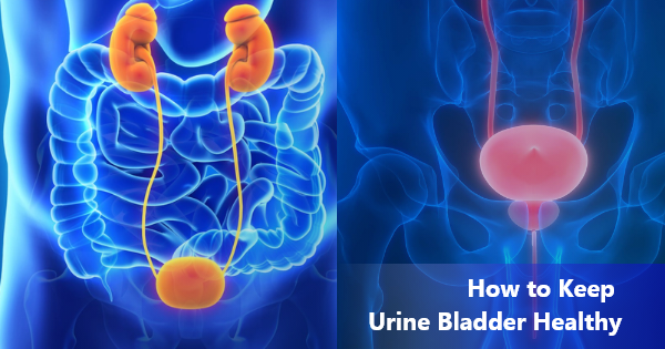 Tips to Keep Urine Bladder Healthy