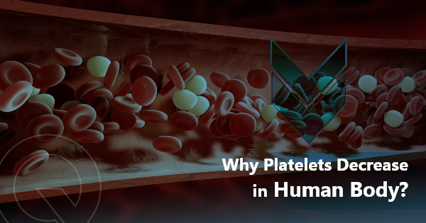 Why Platelets Decrease in Human Body