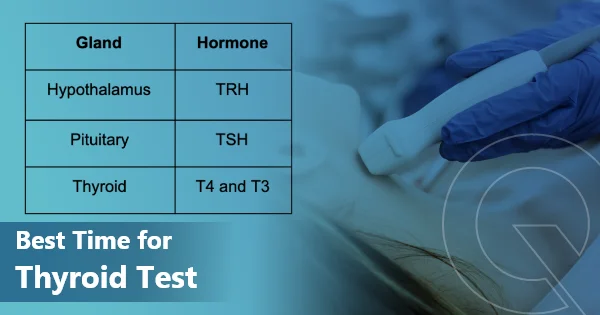 Best Time for Thyroid(TSH) Test