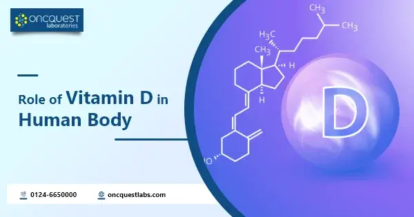 Role of Vitamin D in Human Body