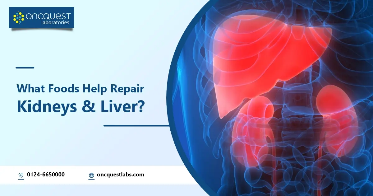 What Foods Help Repair Kidneys and Liver