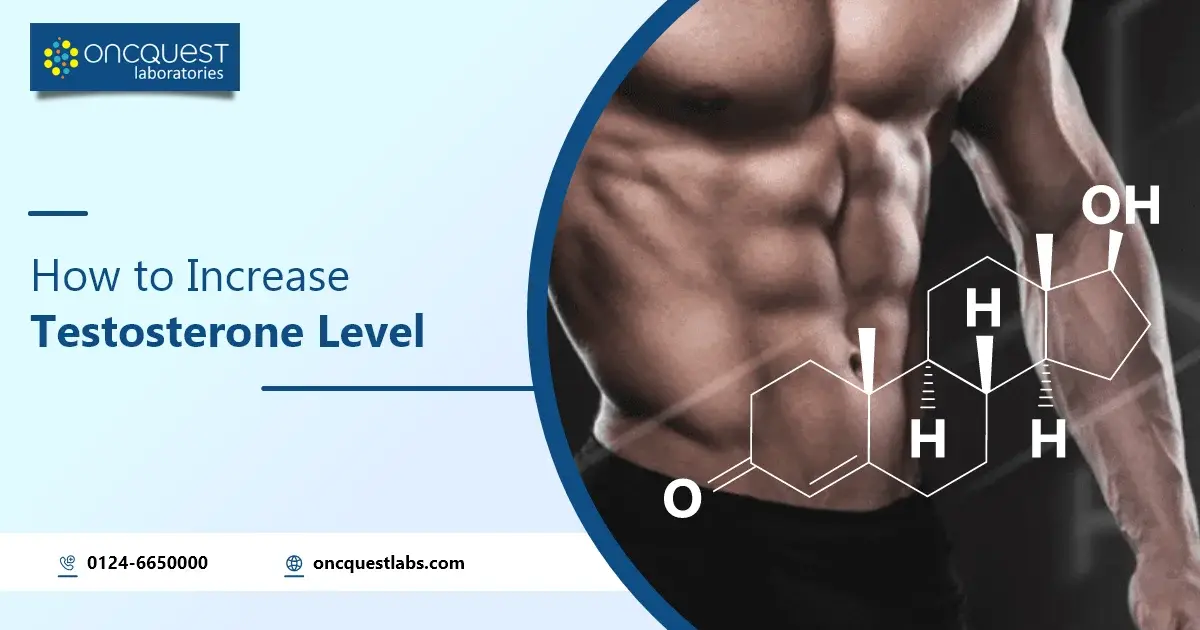 How to Increase Testosterone Level Oncquest Blog Your Health Guide