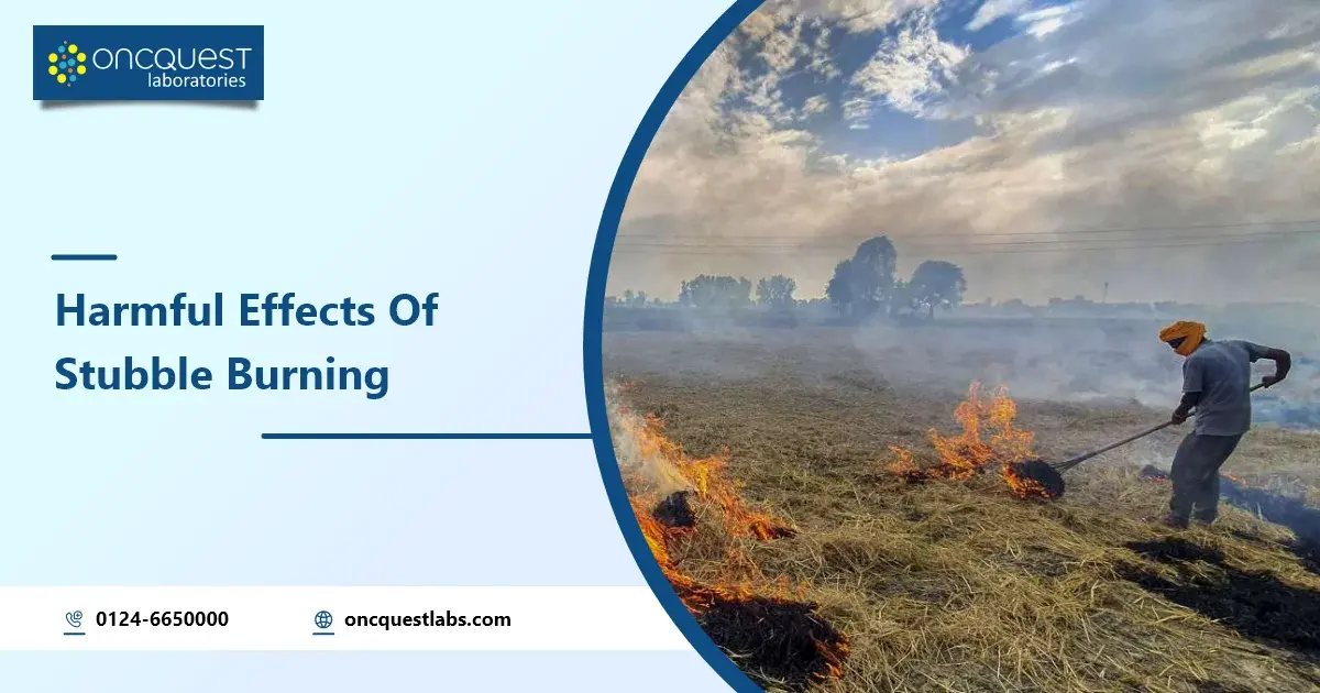 Harmful Effects Of Stubble Burning