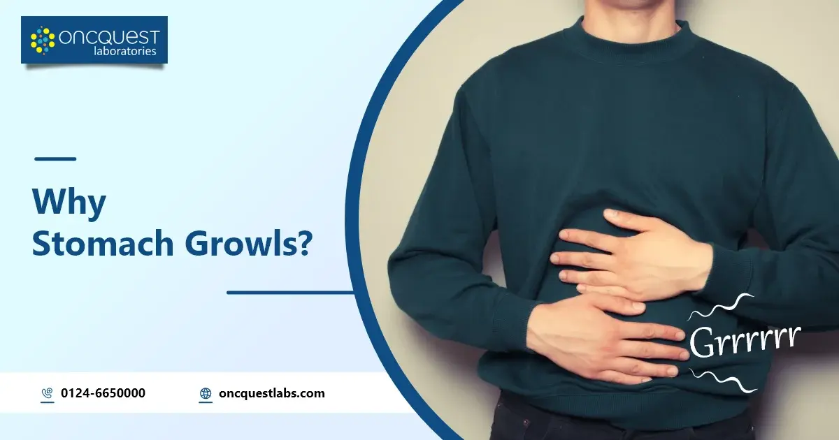 Stomach Growling: Reason, Symptoms & Prevention