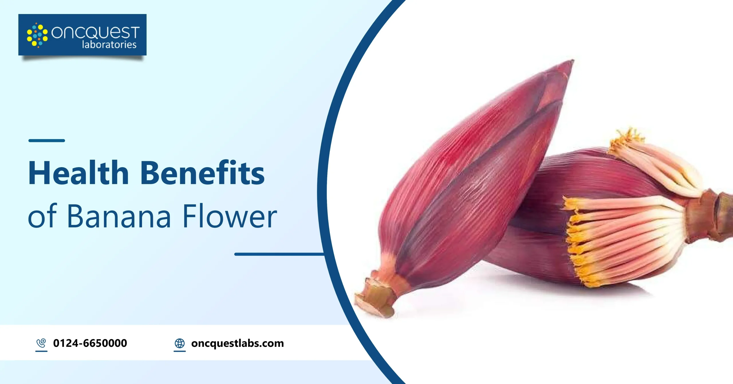 Health Benefits of Banana Blossom: Blooming Good Health