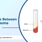 Difference Between Blood Plasma And Serum