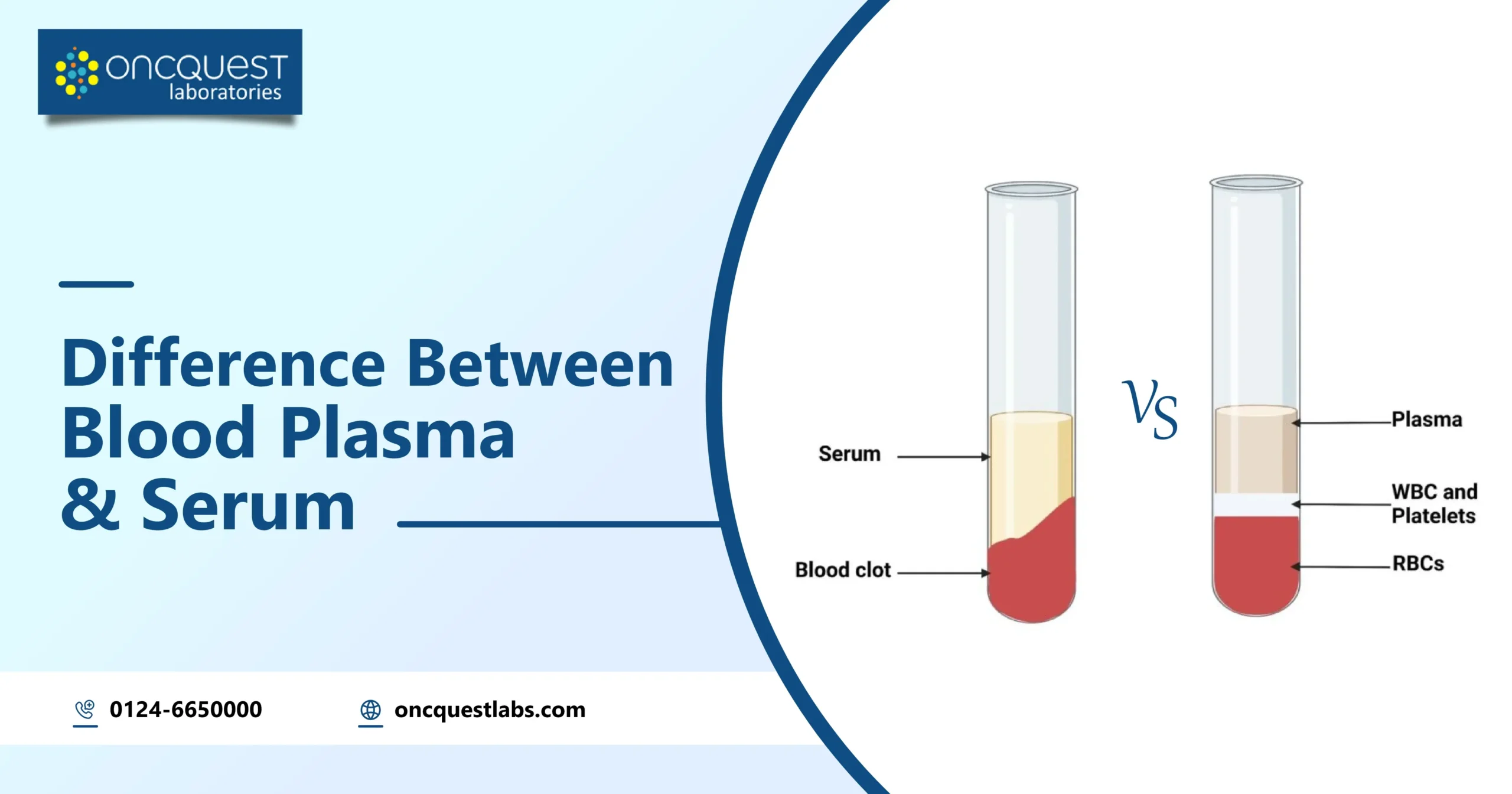 Difference Between Blood Plasma And Serum