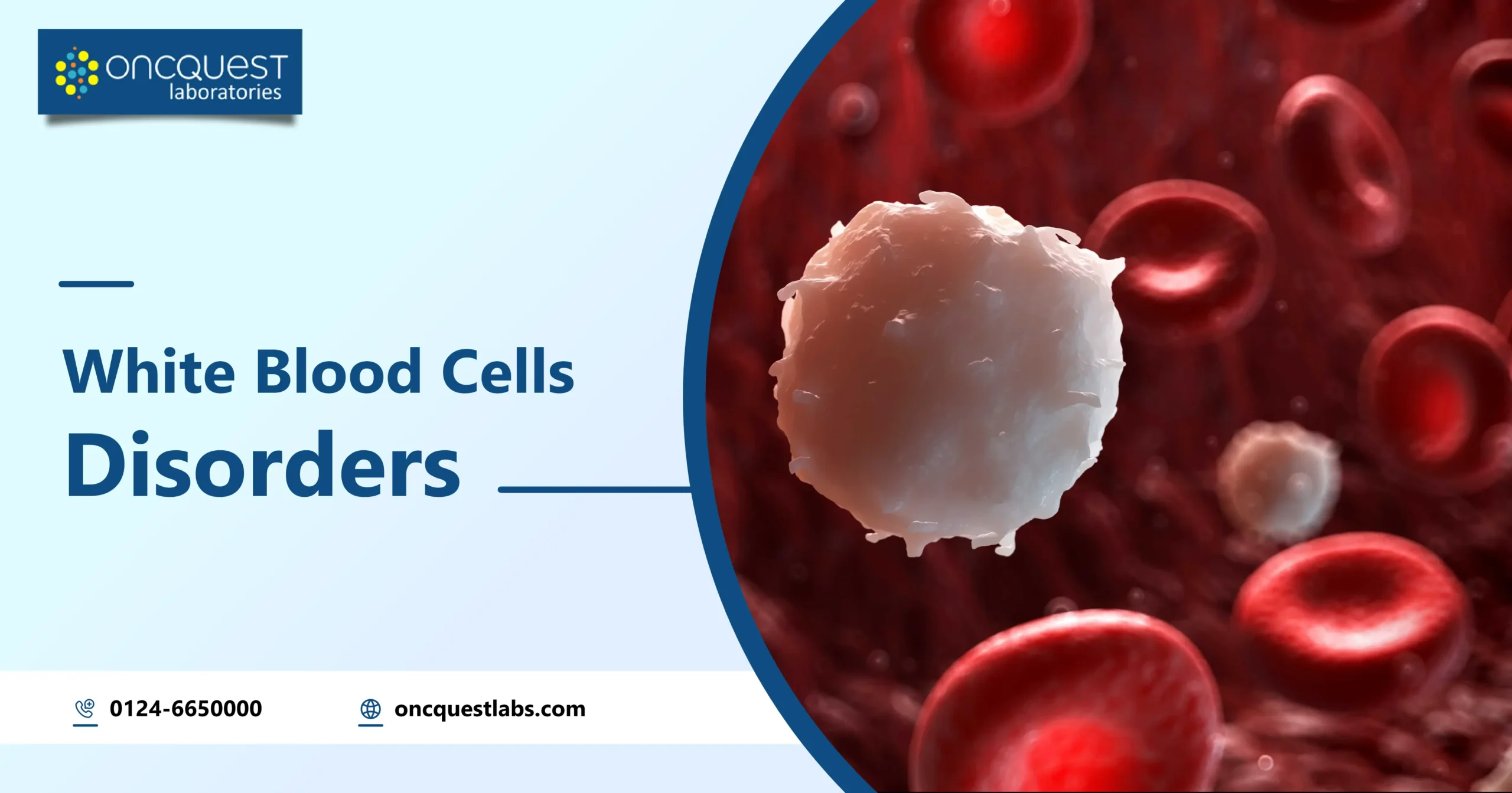 White Blood Cells Disorders