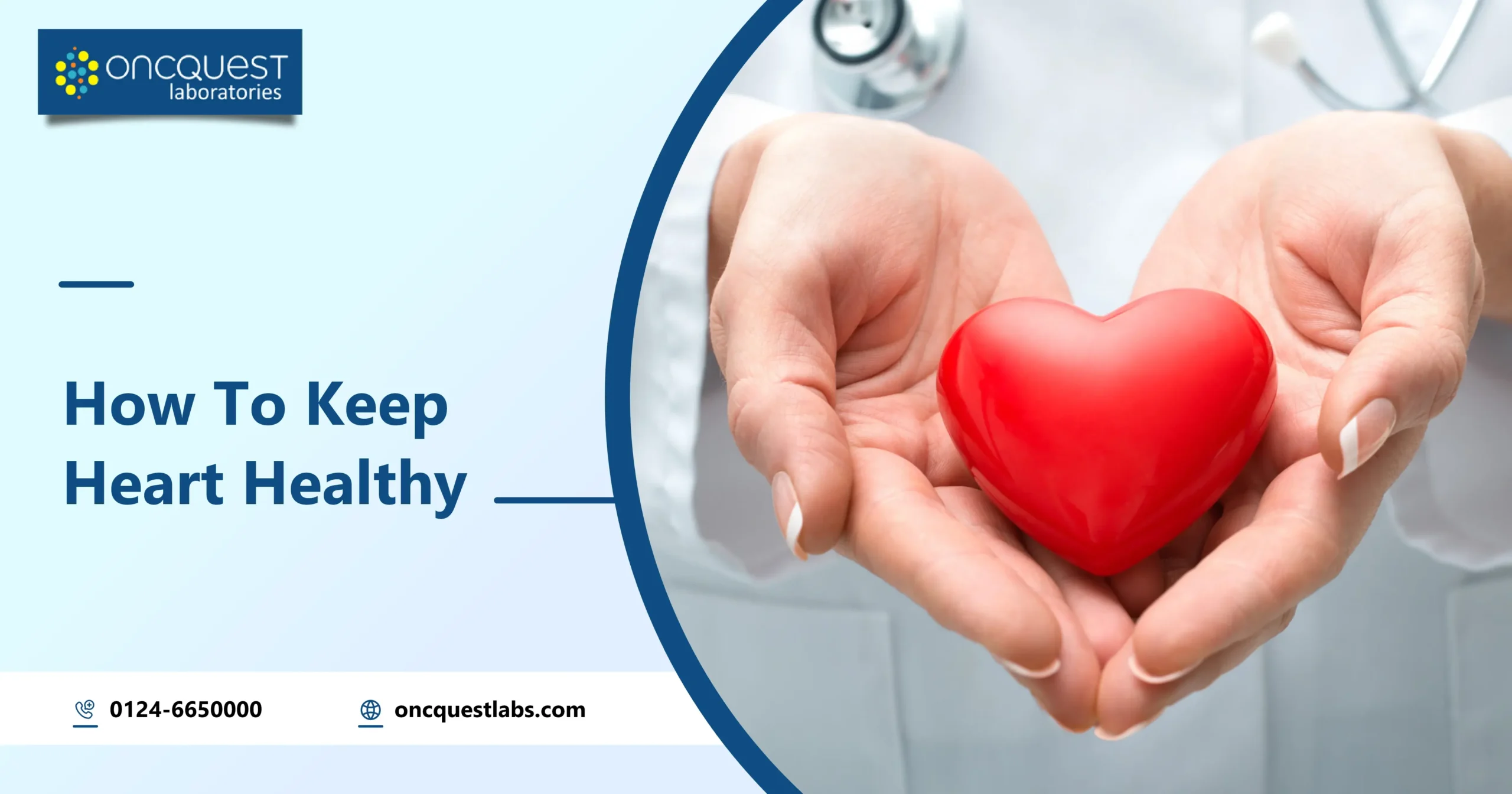 How To Keep Heart Healthy: Nurturing Cardiovascular Wellness