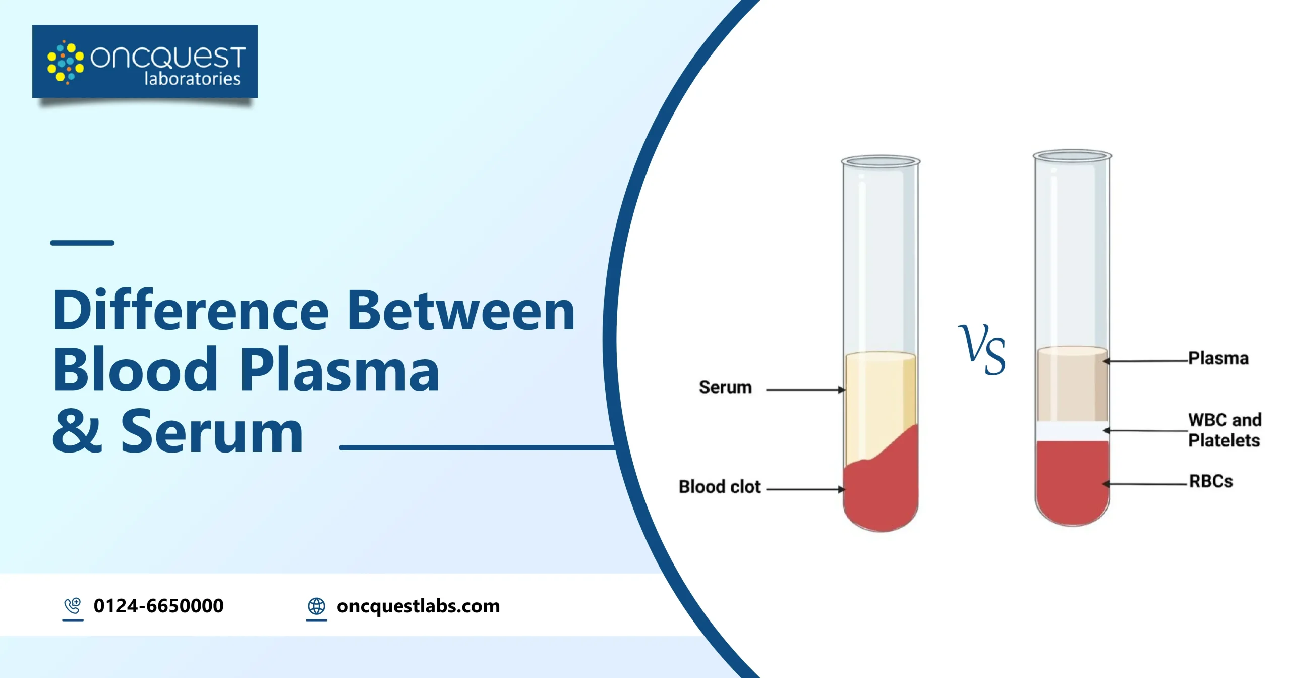 serum vs plasma