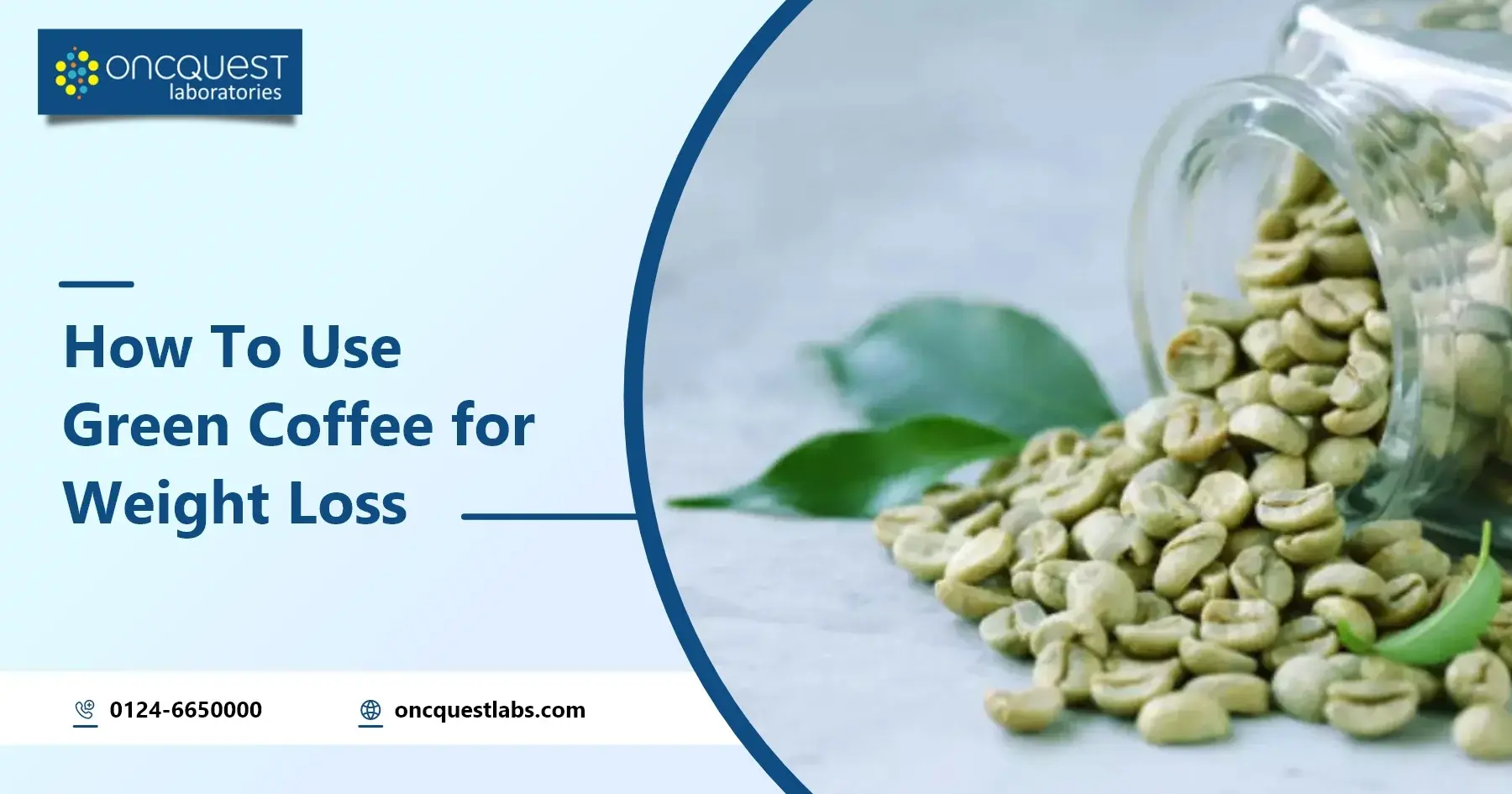 How To Use Green Coffee For Weight Loss?