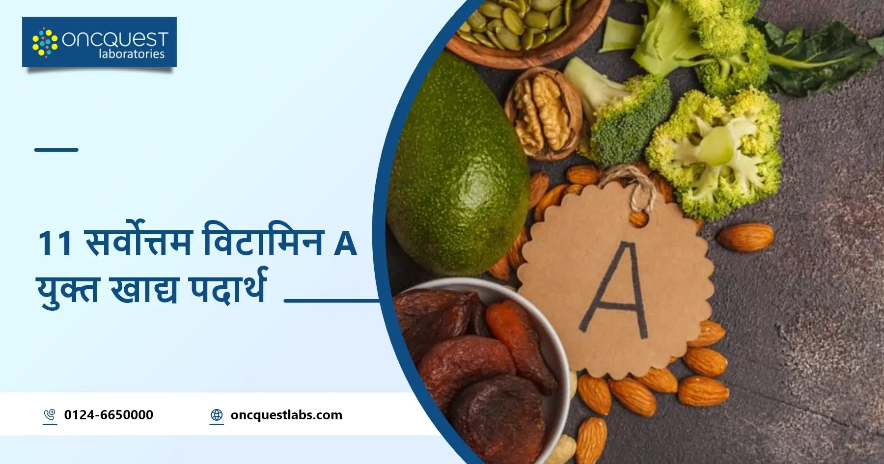 11 सर्वोत्तम विटामिन A युक्त खाद्य पदार्थ (11 Best Vitamin A Rich Food)