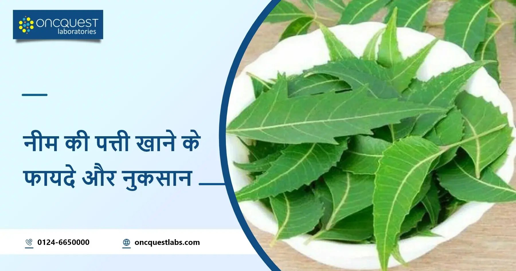 नीम के पत्ते खाने के फायदे और नुकसान (Advantages and disadvantages of eating neem leaves)