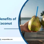 Amazing Benefits of Drinking Coconut Water