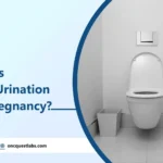 When Does Frequent Urination Start In Pregnancy?