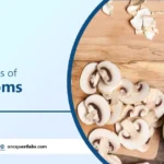 Health Benefits And Side Effects of Eating Mushrooms