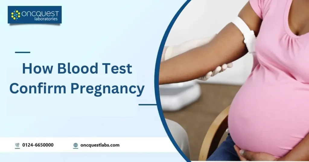 How Blood Test Confirm Pregnancy