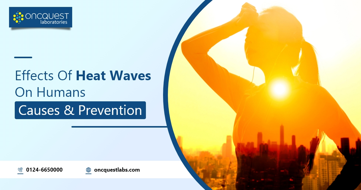 Effects of Heat Waves on Humans: Causes & Prevention