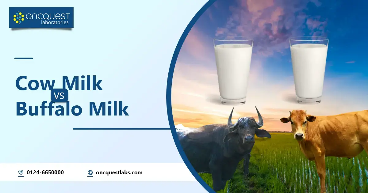 Cow Milk vs Buffalo Milk: Which is Best for Health