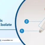 Why Salt is Added to Isolate DNA