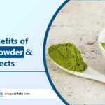 Health Benefits of Moringa Powder and its side effects