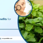 mint leaf benefits for skin