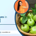 benefits of guava leaves in woman