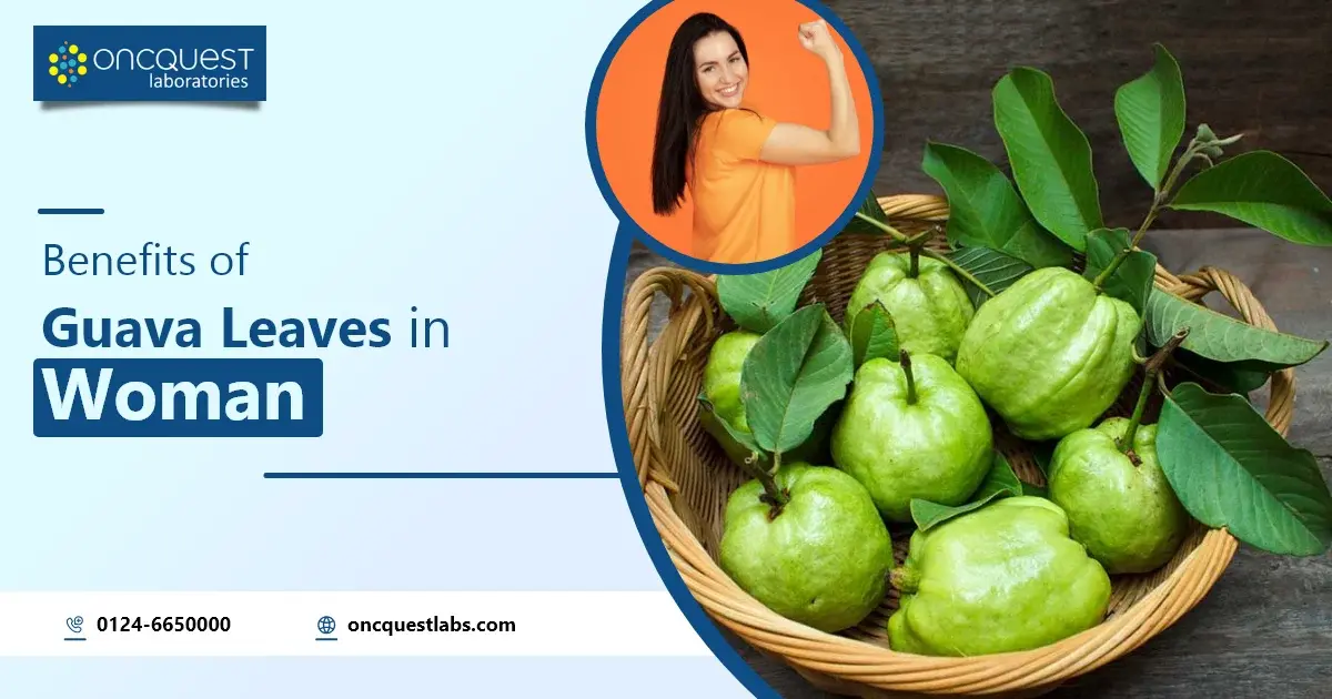 benefits of guava leaves in woman