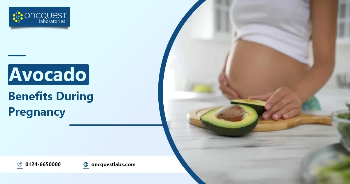 avocado benefits during pregnancy