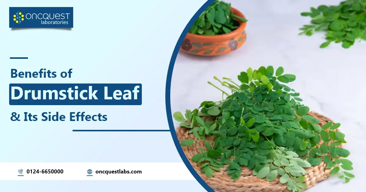 Benefits of Drumstick Leaf and its Site Effects