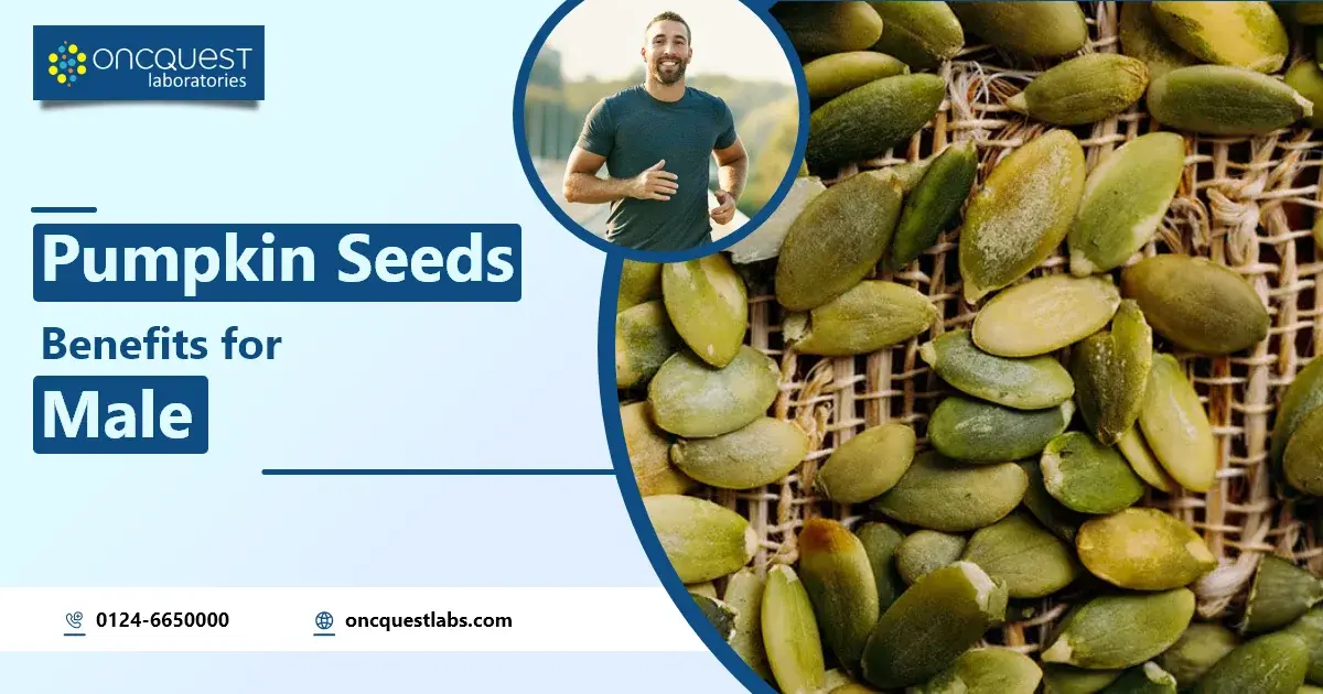 Pumpkin Seeds Benefits for Male