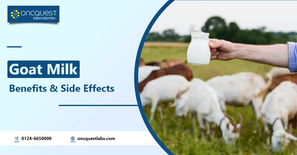 Goat Milk Benefits and Its Side Effects