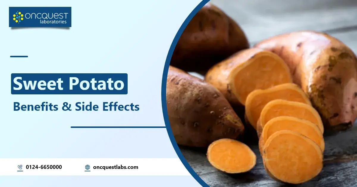 Sweet Potato Benefits and Side Effects