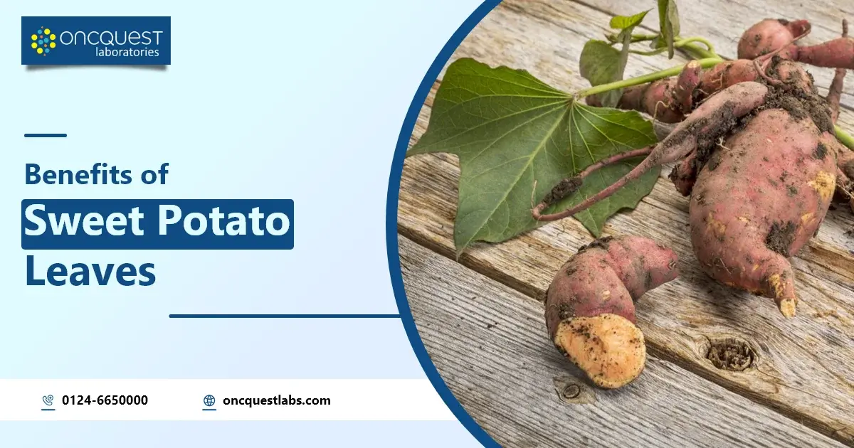 Benefits of Sweet Potato Leaves