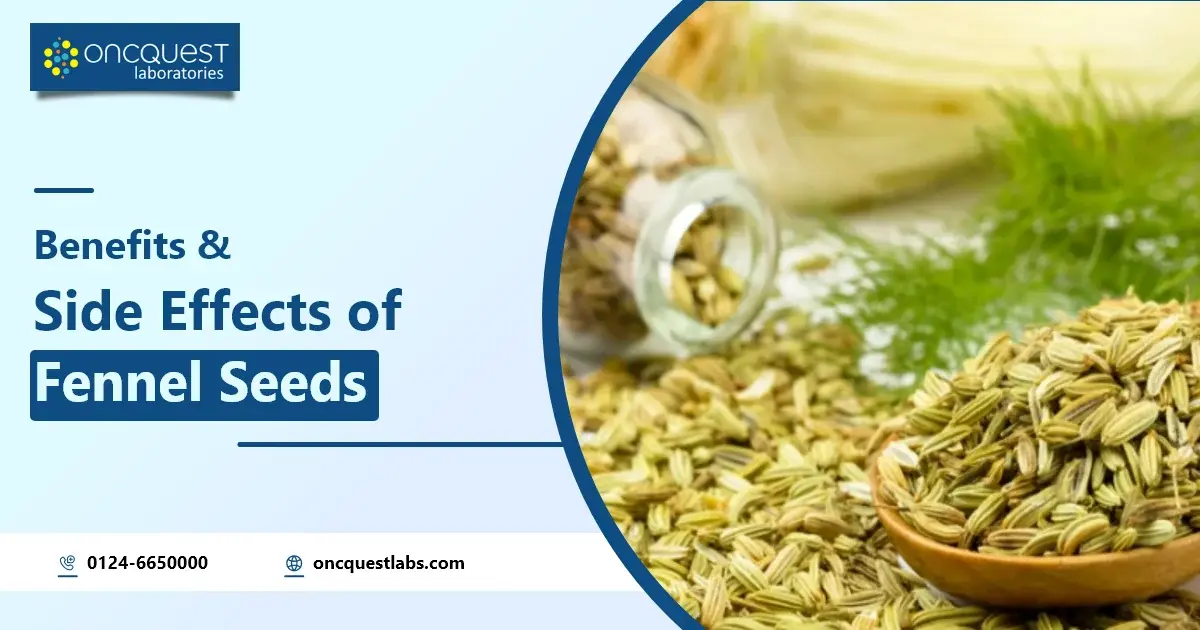 Benefits of Fennel Seed Water and Its Side Effects