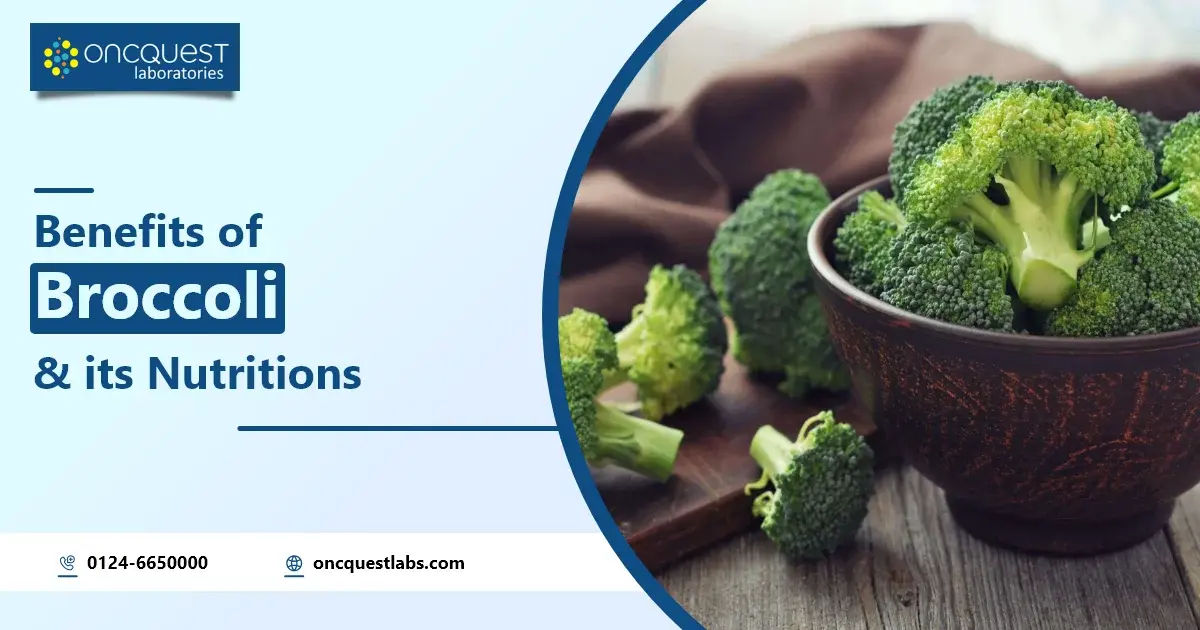 Benefits of Broccoli and Its Nutritions