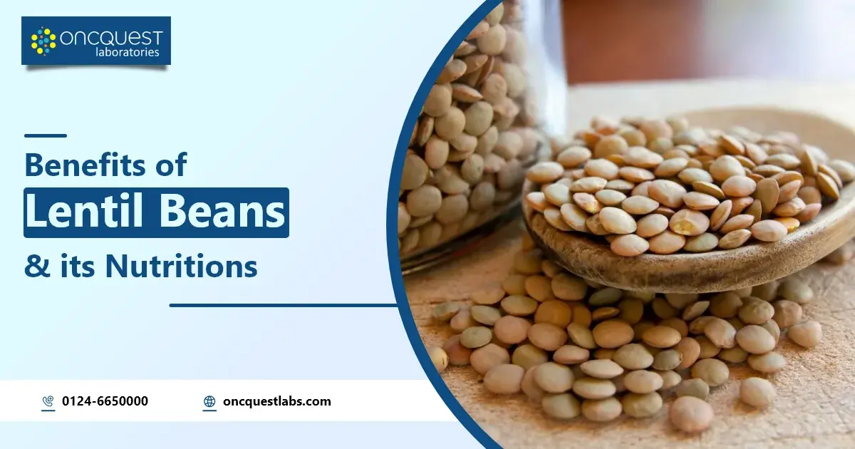 Benefits of Lentil Beans and Its Nutrients