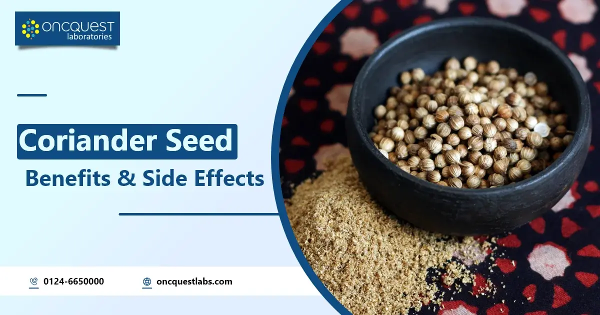 Coriander Seed Benefits and Side Effects