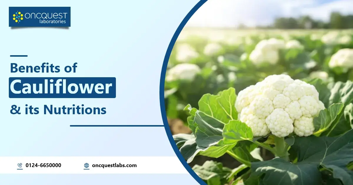 Benefits of Cauliflower and Its Nutritions